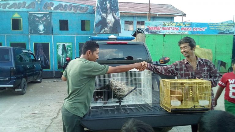 Tim Patroli TSL BKSDA Kalsel Sambangi Arena Pertunjukan Satwa Dilindungi