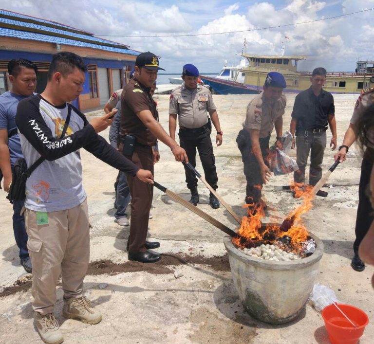 Pemusnahan Barang Bukti Berupa Telur Penyu