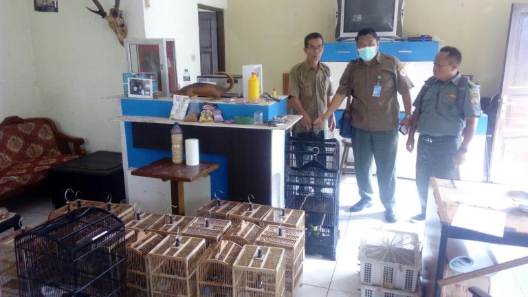 Peredaran Tumbuhan dan Satwa Liar (TSL) Illegal Kembali Digagalkan