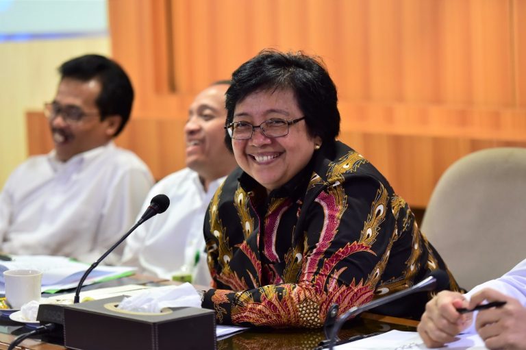 Apresiasi Dunia Terhadap Tindakan Korektif Pembangunan Kehutanan Indonesia