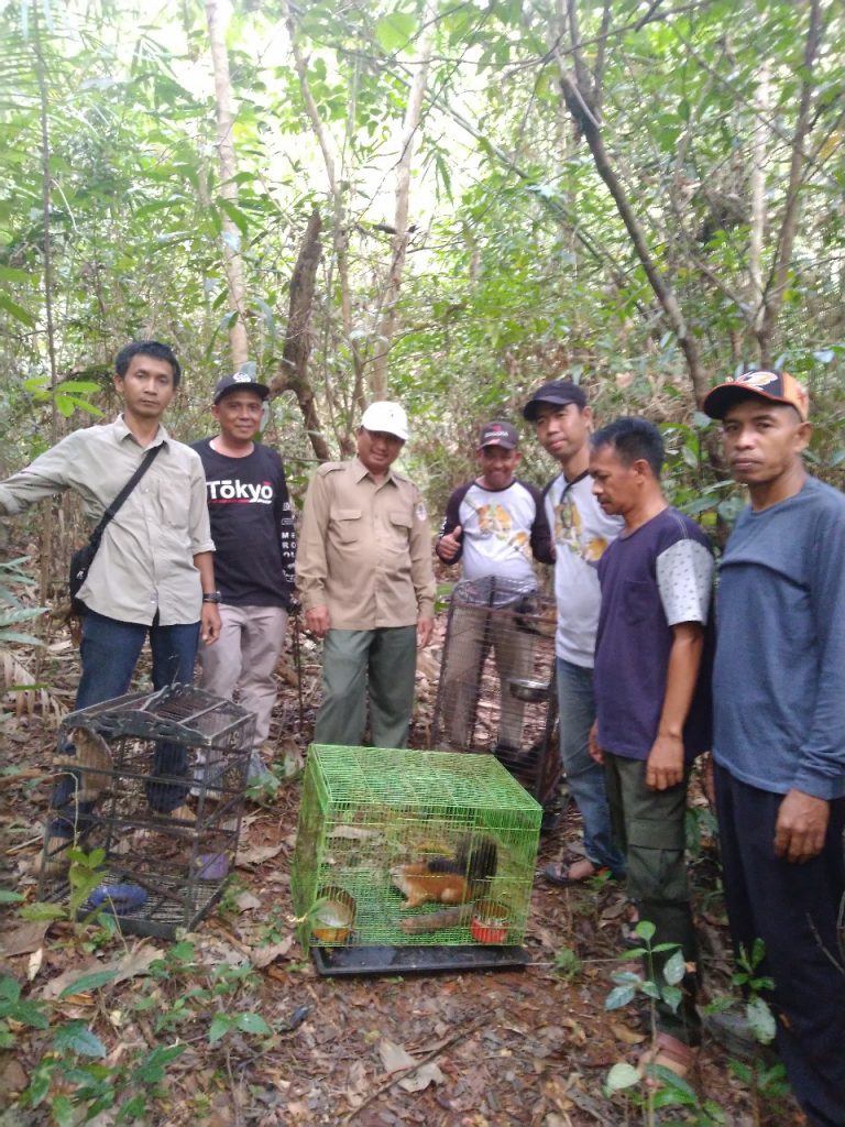 Pelepasliaran Satwa dilindungi