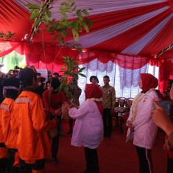 Srikandi BKSDA Kalsel Dukung Perempuan Peduli Mangrove