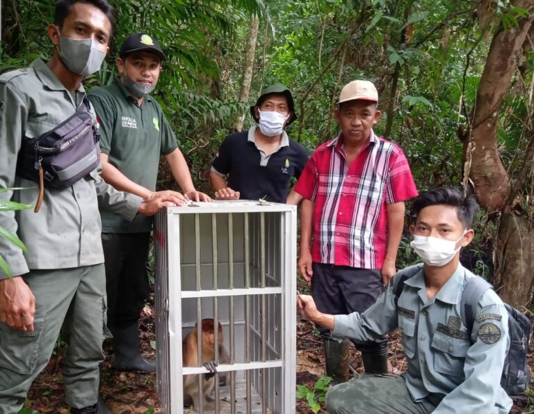 TRANSLOKASI BEKANTAN KE TWA BUSUWA
